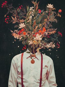 Laub von Frank Moth