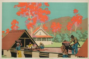 Eine Kakao-Plantage in Trinidad von Frank Newbould