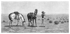 Nichts in Sicht, 1886