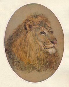 Lions Head, ca. 1896