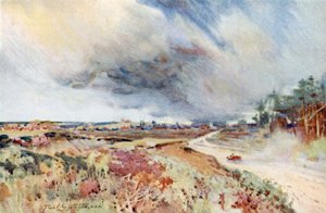 Heide bei Sandringham