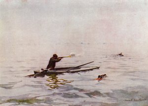 Norfolk Broads: Punt-Gunning auf Breydon von Frank Southgate