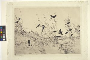 Amseln und Binsen von Frank Weston Benson