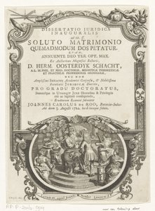 Minerva krönt Schriftsteller von François van Bleyswijck