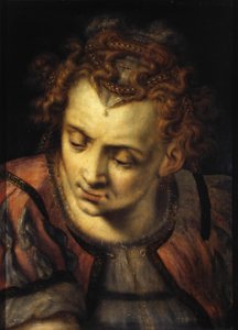 Studie des Kopfes einer Frau von Frans Floris I