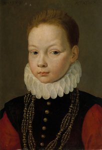 Porträt eines neunjährigen Jungen von Frans I Pourbus