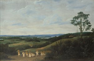 Eine brasilianische Landschaft