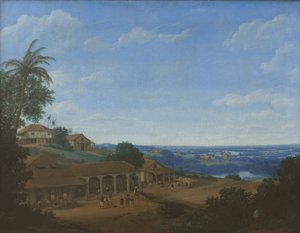 Landschaft in Brasilien mit Zuckerplantage