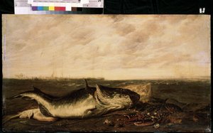 Fisch und Hummer am Strand von Frans Ryckhals