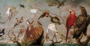 Vogelkonzert