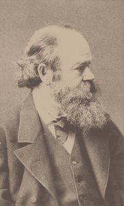 Porträt des Komponisten Robert von Hornstein 1833-1890 von Franz Hanfstaengl