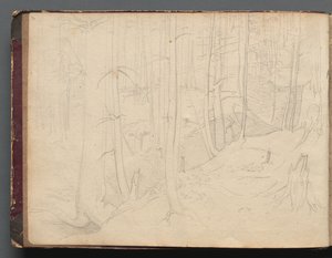 Album mit Ansichten von Rom und Umgebung, Landschaftsstudien, Seite 01b: Römische Landschaft