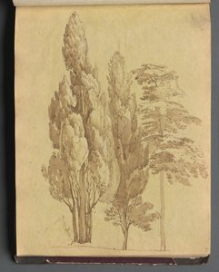 Album mit Ansichten von Rom und Umgebung, Landschaftsstudien, Seite 15a: Bäume von Franz Johann Heinrich Nadorp