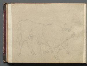 Album mit Ansichten von Rom und Umgebung, Landschaftsstudien, Seite 51b: Studie eines Stiers von Franz Johann Heinrich Nadorp