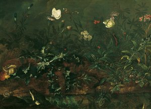 Rasenstück mit Distel, Fröschen und Libelle
