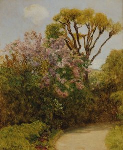 Landschaft