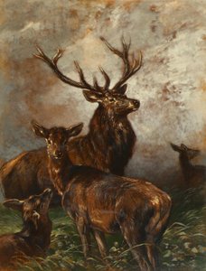 Hirsch und Hirschkuh von Franz Xaver von Pausinger