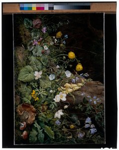 Wildblumen am Fuße eines Baumes