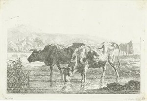 Zwei trinkende Kühe von Frédéric Théodore Faber
