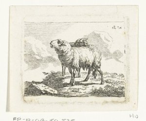 Zwei stehende Schafe von Frédéric Théodore Faber