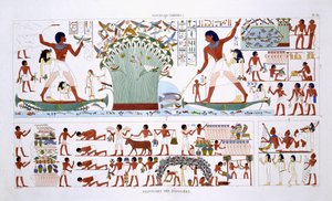 Zubereitung von Speisen für die Toten, aus einem seltenen Bericht über Fresken aus Theben, aufgezeichnet 1819-1822 bei seinem zweiten Besuch in Ägypten von Frederic Cailliaud