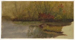 Eine Ecke eines Teiches von Frederic Edwin Church