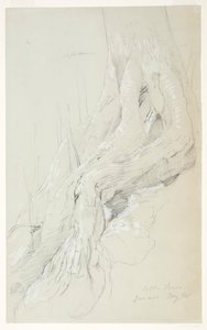 Baumwurzeln, die auf einem Hang wachsen, Jamaika von Frederic Edwin Church