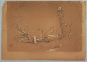 Zeichnung, Ein gebrochener toter Baum, 1855–65 von Frederic Edwin Church