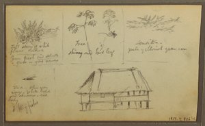 Zeichnung, Eine Festung; Verso: Botanische Skizzen, Haus, 1857 von Frederic Edwin Church