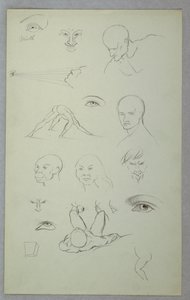 Anatomische Studien, 1865–1870