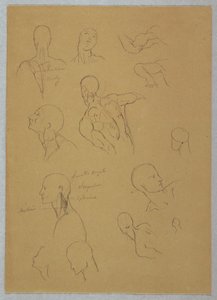 Anatomische Studien, 1865–1870 von Frederic Edwin Church