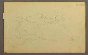 Baumstamm, Felsen von Frederic Edwin Church