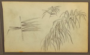 Botanische Skizzen, 1857 von Frederic Edwin Church