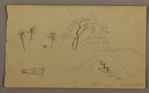Botanische Skizzen, Figur, Mai–August 1865 von Frederic Edwin Church