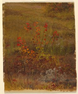 Zeichnung, Botanische Studien, Oktober 1865 von Frederic Edwin Church