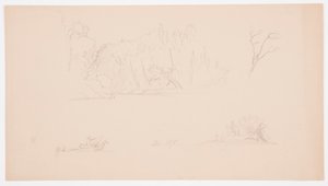 Zeichnung, Botanische Skizzen: Baum, Bäume am Ufer, September 1876 von Frederic Edwin Church