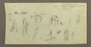 Kamelstudien, 2. März 1868