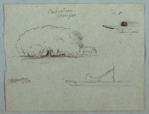 Zeichnung, Ceiba-Baum in Mompos, Champan-Kanu, Bäume und ein Teil eines Bootes, Rio Magdalena, Kolumbien, 1853, wahrscheinlich Mai von Frederic Edwin Church