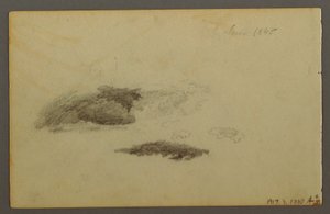 Zeichnung, Verfallene Birke, 1844 von Frederic Edwin Church