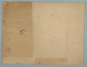 Details von Eselköpfen, Südamerika, 1853