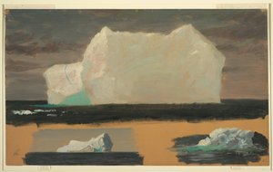 Schwimmende Eisberge bei Twillingate, Neufundland, 4. Juli 1859