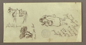 Pferd, Figur von hinten, Bäume