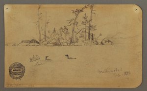 Insel, zwei Seetaucher, 1878