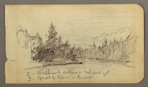 See umgeben von Bäumen, möglicherweise 1878
