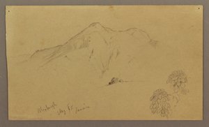 Zeichnung, Landschaft, Pflanzen, Bloxburgh, August 1865 von Frederic Edwin Church