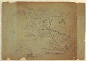 Landschaft mit Bäumen und einem Bach [?], Grand Manan Island, Kanada, September 1851 von Frederic Edwin Church