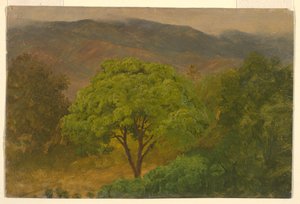Zeichnung, Berglandschaft, August 1865