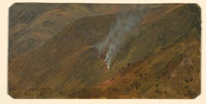 Zeichnung, Berghang mit Buschfeuer, Juni 1865