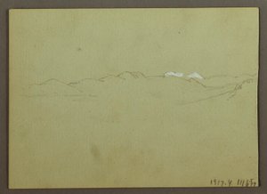 Pflanzen- und Landschaftsstudie