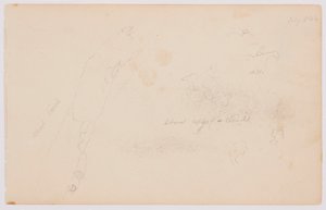 Skizzen von Wolken und toter Birke, Juli 1844 von Frederic Edwin Church